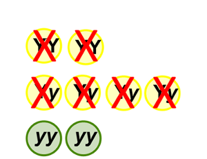 6 yellow pea with red X’s through them, and 2 green peas.