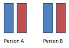 Parents' chromosomes