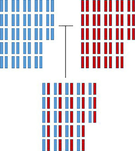 Chromosome inheritance.