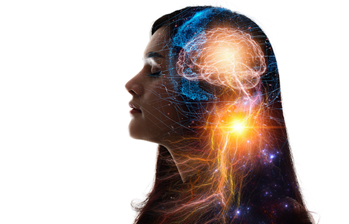 The human brain.