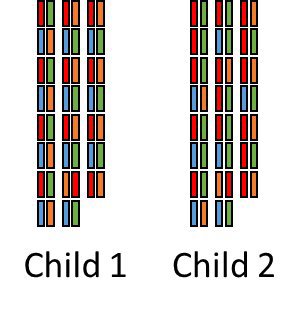 Chromosomes.