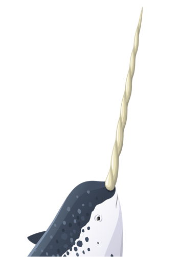 Narwhal