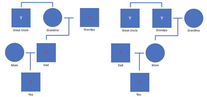 Y chromosome inheritance.