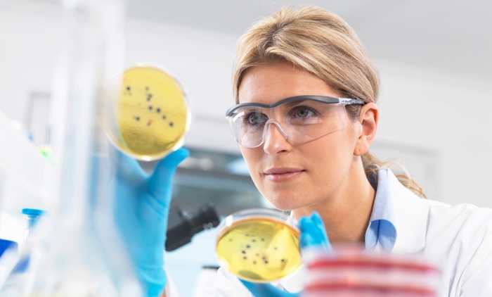 Scientist with bacteria plates.