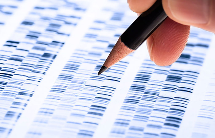 Sequence analysis.