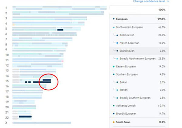 A snapshot highlighting a chromosome segment with Scandinavian ancestry.