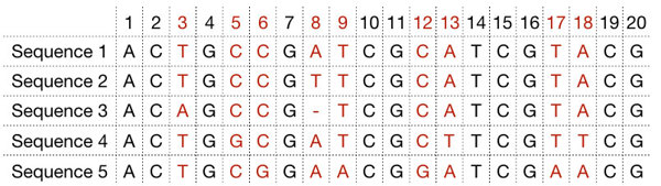 Phylogenetic tree.