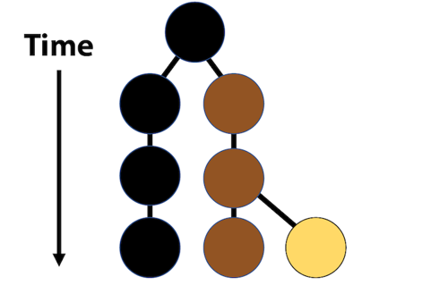 Fig2-3 hair color.