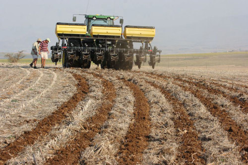 Tractor tilling.