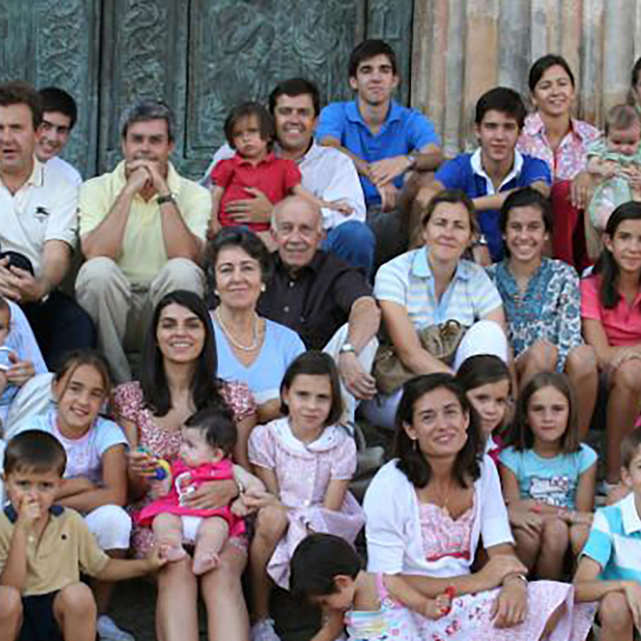 A large family consisting of parents, grandparents, aunts, uncles and children.