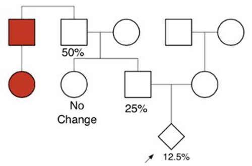 Pedigree with three generations in a single family. Two individuals are colored in red, with risk labeled for the grandfather, father, and you.