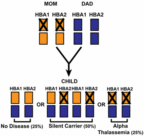 HBA Inheritance