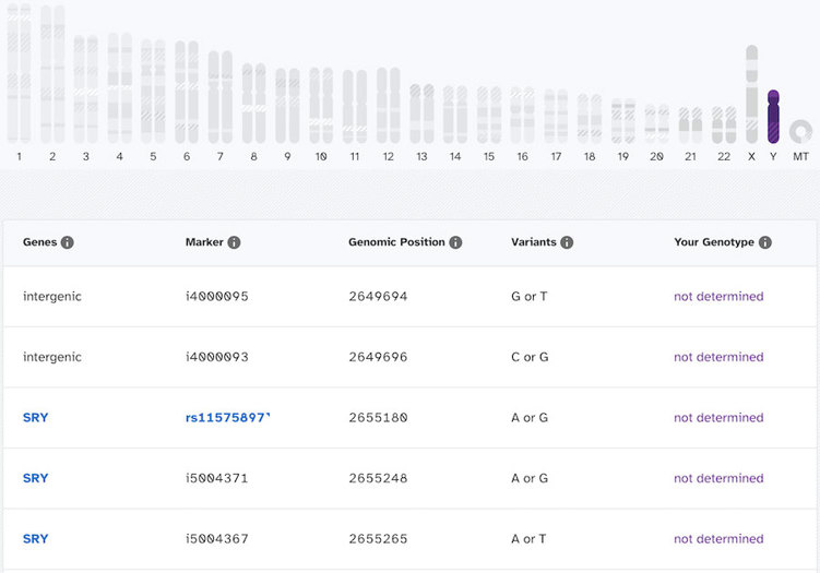 Raw data browser.