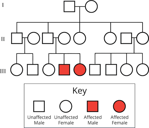 Sample pedigree.