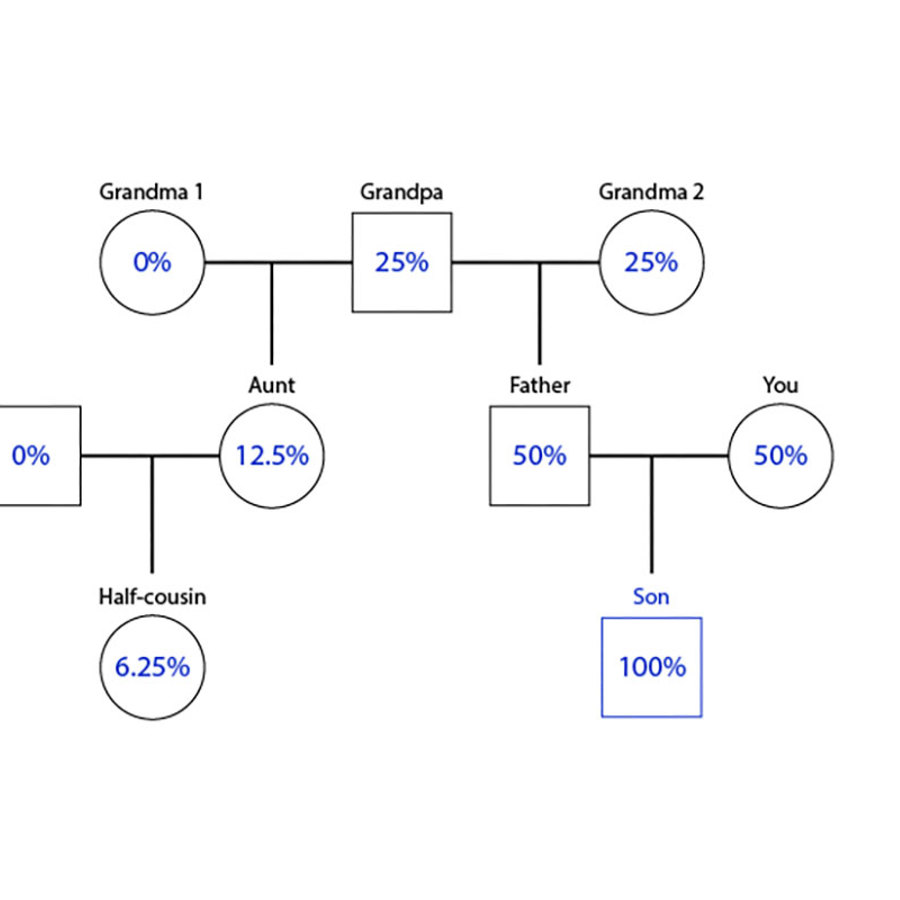 Family tree with half-cousins.