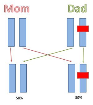 Dominant inheritance