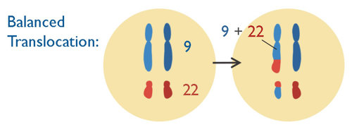 Balanced translocation.