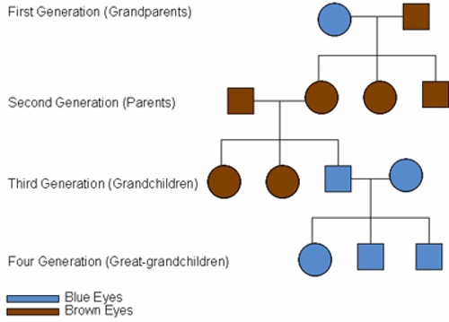 A family tree