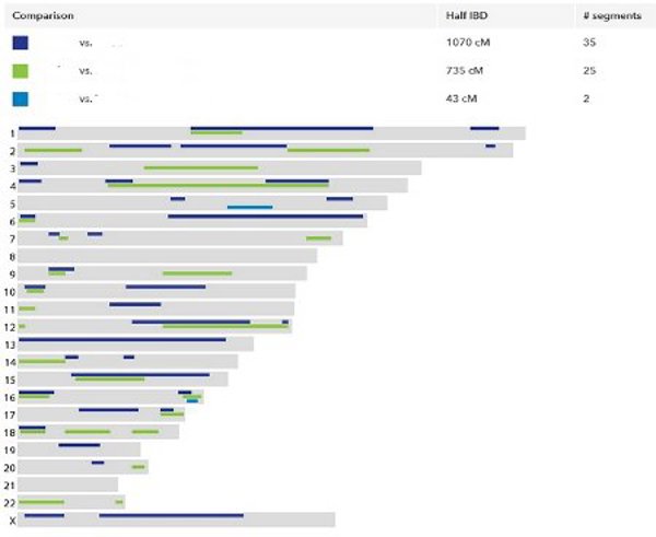 23andMe results.