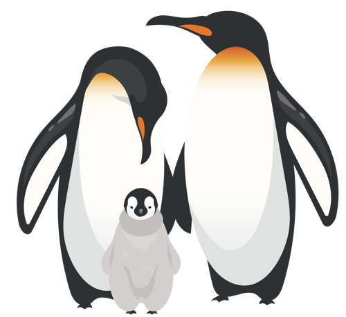 Emperor Penguin