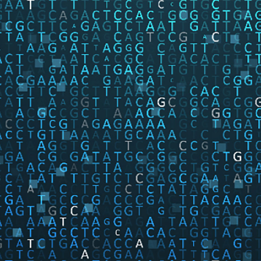 DNA samples.