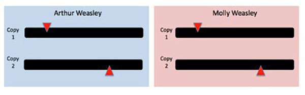 Chromosome pairs