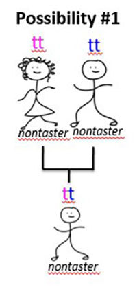 Two nontaster (tt) parents with a nontaster (tt) child.