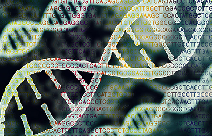 Bioinformatics concept dna protein letter.