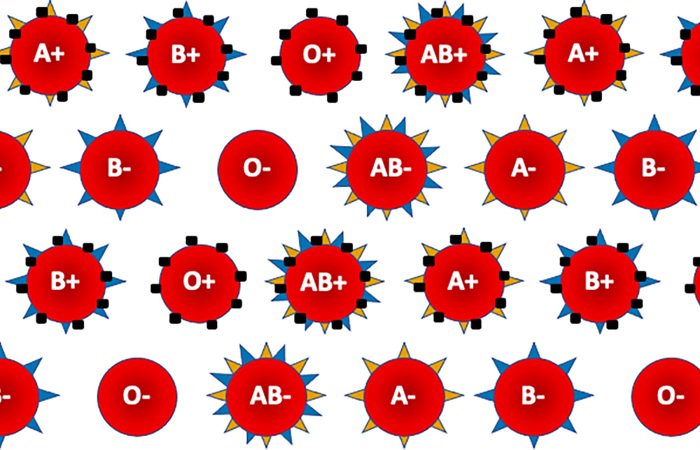 ABO Rh bloodtypes.