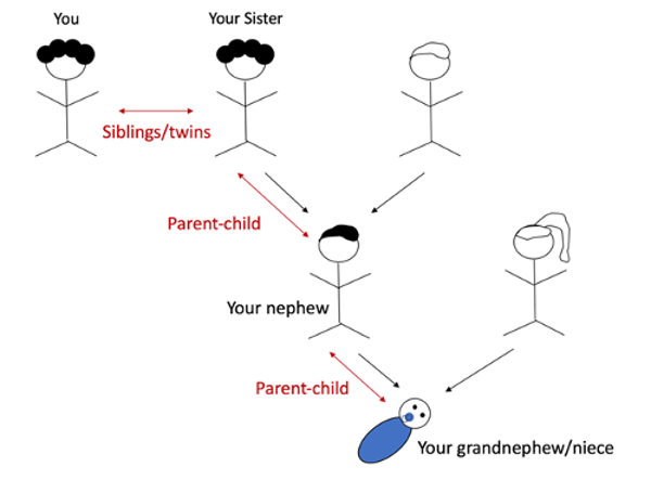 Family tree.