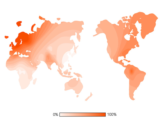 The traditional blue eyed allele is most common in Europe, with lower frequencies elsewhere in the world.