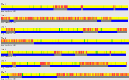 Chromosome sharing for half siblings.