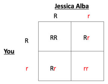 Punnett square.