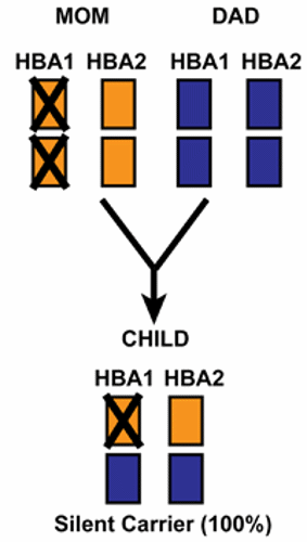 HBA Inheritance