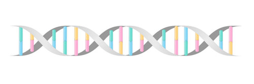 DNA helix.