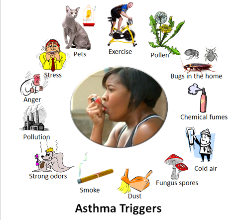 Asthma triggers