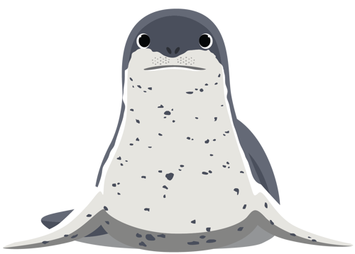 Leopard Seal