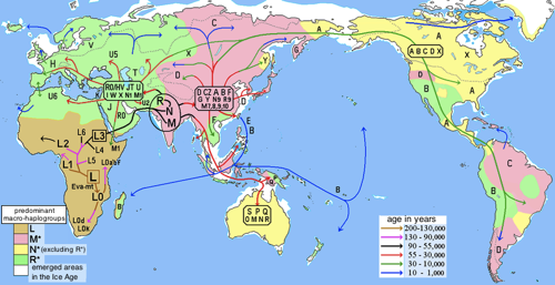 Human migration