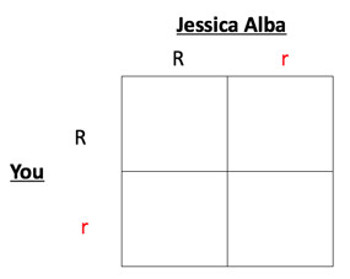 Punnett square.