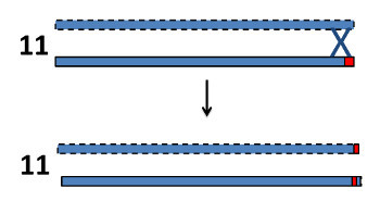 Recombination