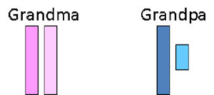 Two pairs of chromosomes.