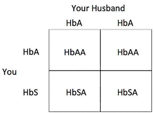 Filled punnett square.