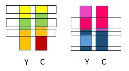 Chromosome inheritance.