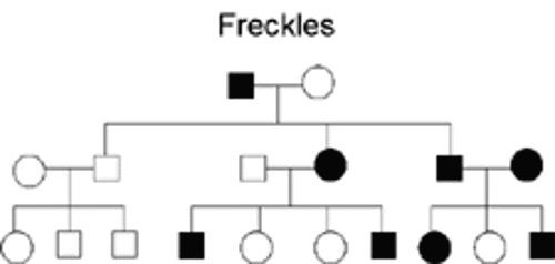 Family tree