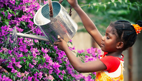 Girl watering flowers.