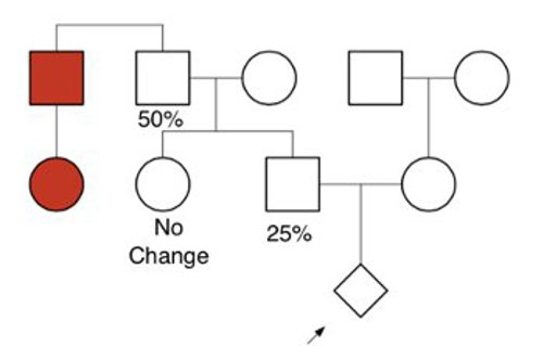 Pedigree with three generations in a single family. Two individuals are colored in red, with risk labeled for the grandfather and father.