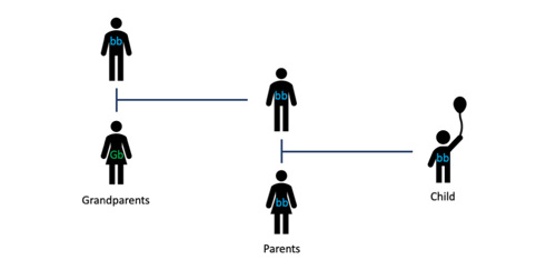 Family tree.