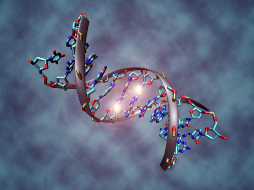 Methylated DNA.