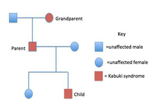 Family tree.