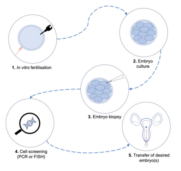 PGD process diagram.